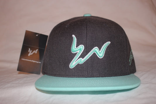 Grey and Mint Snapback